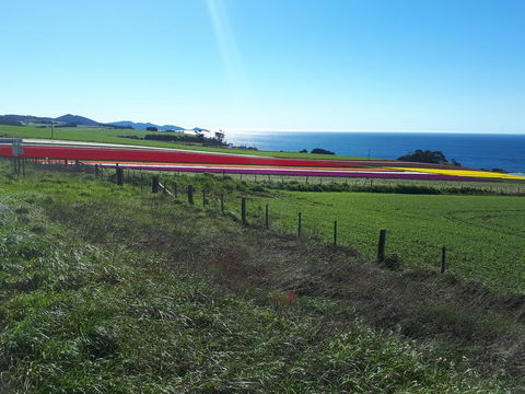 Robin\'s Nest B&B - Accommodation Cairns 26