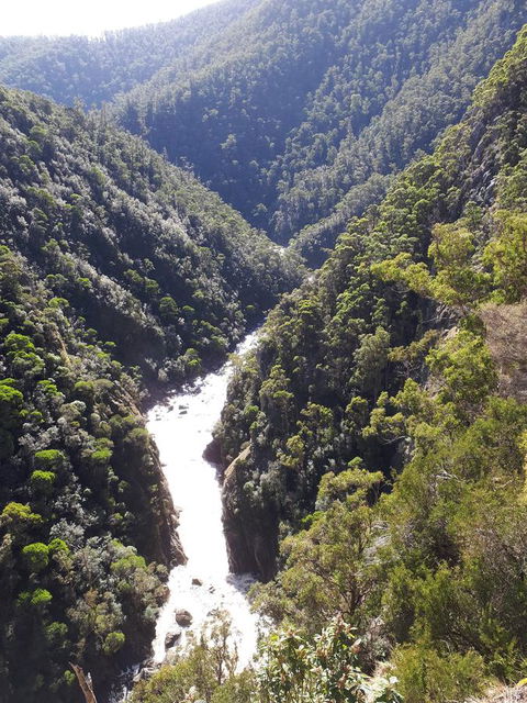 Robin\'s Nest B&B - Accommodation Cairns 22