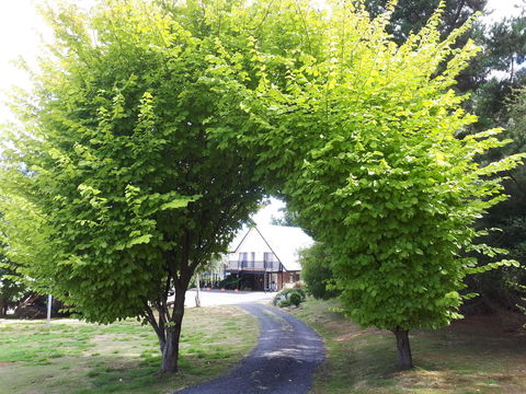 Robin\'s Nest B&B - Accommodation Cairns 10