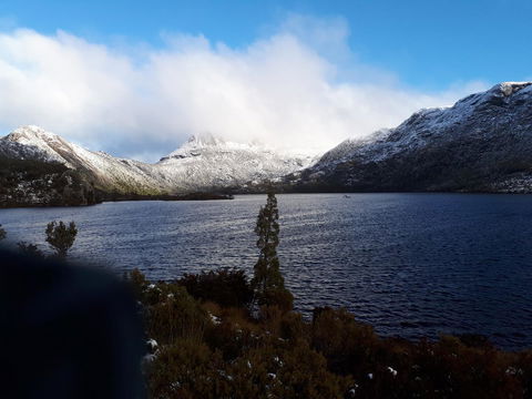 Robin\'s Nest B&B - Accommodation Cairns 24