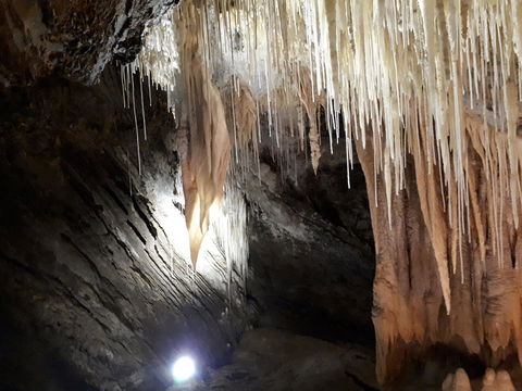 Robin\'s Nest B&B - Accommodation Cairns 29