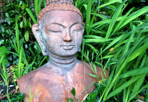 Belton Apartments-Hedge Cottage - Accommodation Cairns 15