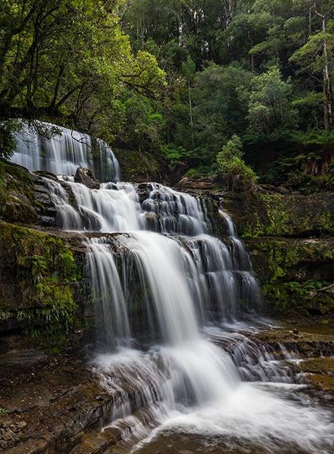 Mountain Blue Guest House - Accommodation Cairns 22