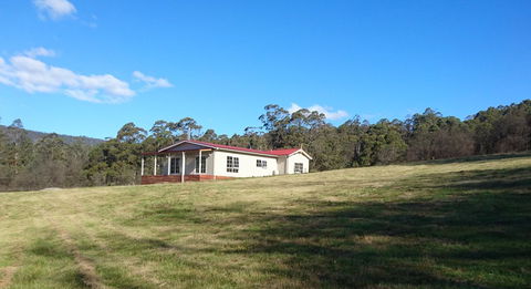 Mountain Blue Guest House - Accommodation Cairns 26