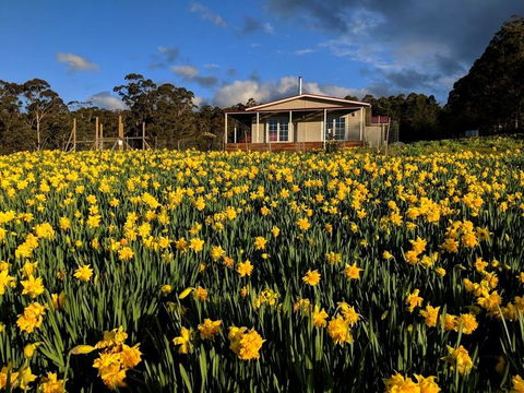 Mountain Blue Guest House - Accommodation Cairns 0
