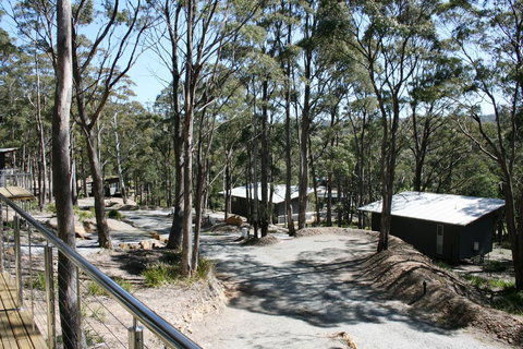 Craggy Peaks Wilderness Cabins - Accommodation Cairns 22