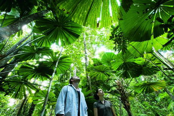 NRMA Cairns Holiday Park with Accommodation Cairns