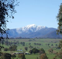 Off Mountain Accommodation - Accommodation Cairns