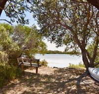 Oystercatcher - On the banks of the lagoon - Accommodation Cairns