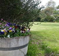 Padthaway Caravan Park - Accommodation Cairns