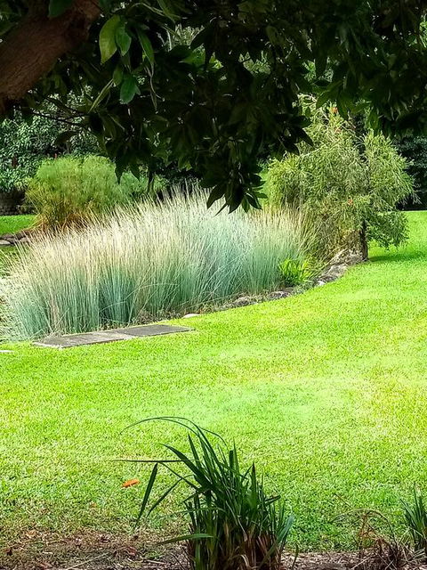 Paradise In The Tropics - Accommodation Cairns 3