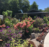 Paradise Retreat - Accommodation Cairns