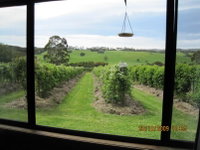 Book Murroon Accommodation Vacations Accommodation Cairns Accommodation Cairns