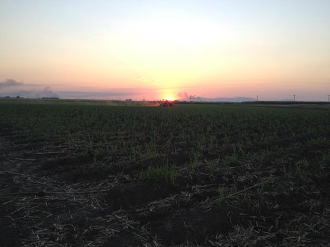 Plantation Park Motor Inn - Accommodation Cairns 3