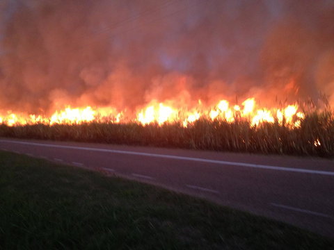 Plantation Park Motor Inn - Accommodation Cairns 1