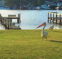 Riverfront Getaway - Mannum - Accommodation Cairns