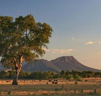 Rubicon Hotel Motel - Accommodation Cairns