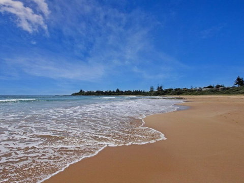 Sanctuary On The Bay - Fish Or Kayak From The Yard - Accommodation Cairns 3