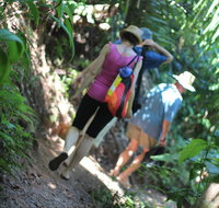 Sanctuary Retreat - Accommodation Cairns