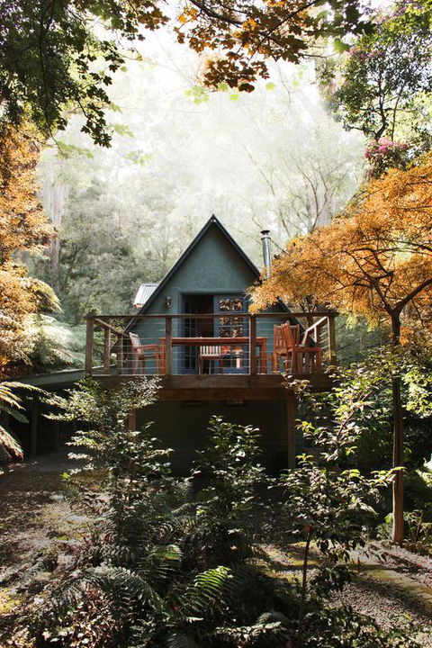 Santosa Cottage Sassafras - Accommodation Cairns 3