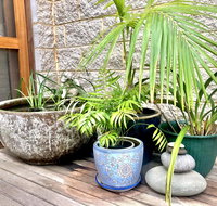 SEAeSCAPE Apollo Bay - Accommodation Cairns