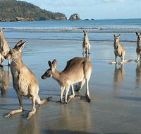 Seaforth Holiday Units - Accommodation Cairns
