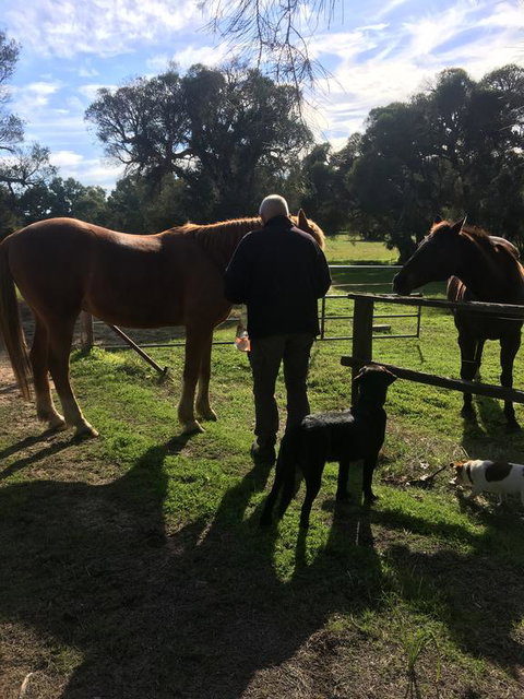 Shetland Park Chalets - Accommodation Cairns 2