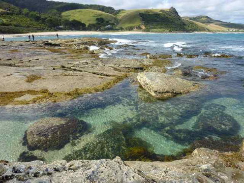 Skenes Creek Beachfront Caravan Park - Accommodation Cairns 3