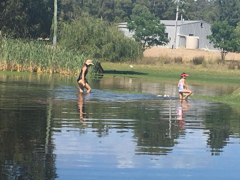 Something Different - Accommodation Cairns 1