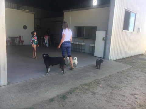 Something Different - Accommodation Cairns 2