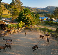 Spring Spur - Accommodation Cairns