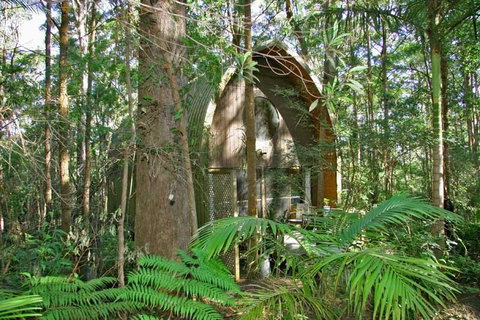 Springbrook Mountain Chalets - Accommodation Cairns 0