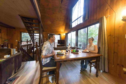 Springbrook Mountain Chalets - Accommodation Cairns 2