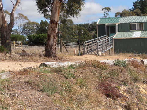 Springmead Rustic Cabin - Accommodation Cairns 1