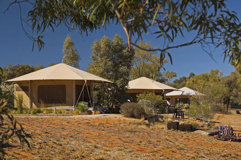 Squeakywindmill Boutique Tent B&B - Accommodation Cairns 0