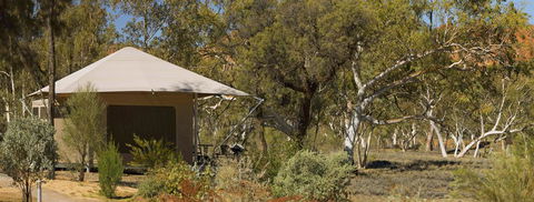 Squeakywindmill Boutique Tent B&B - Accommodation Cairns 3
