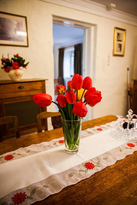 Sunnyside Cottage - Accommodation Cairns 3