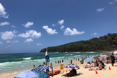 Sunshine Coast Cottage - Accommodation Cairns 3