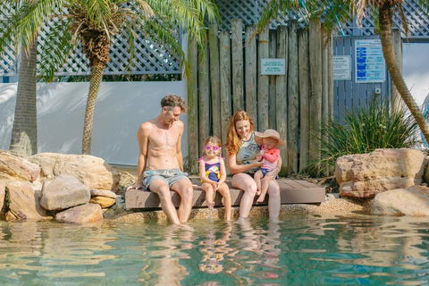 The Bay Apartments - Accommodation Cairns 2