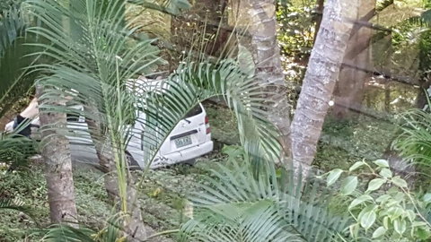 The Beach Place - Accommodation Cairns 1