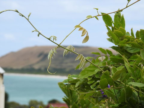 Ellie\'s Cottages - Accommodation Cairns 3