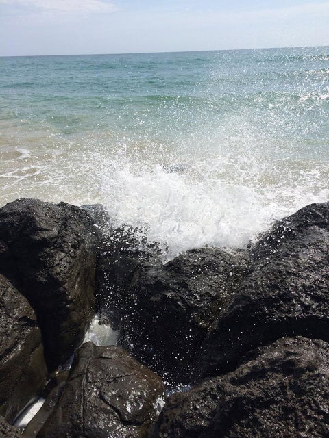 Seaspray - Accommodation Cairns 25