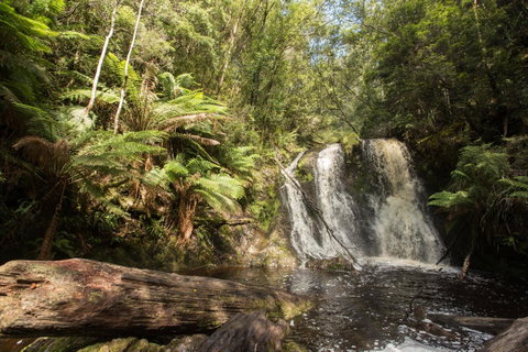 Strahan Village - Accommodation Cairns 27