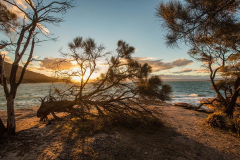 Freycinet Lodge - Accommodation Cairns 44