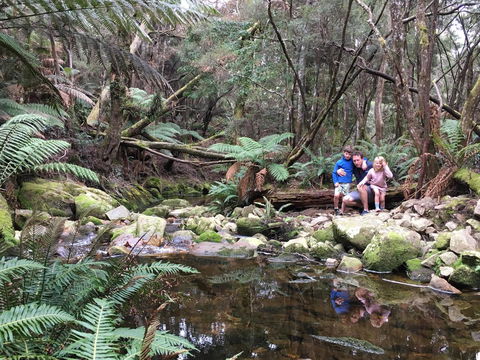 Derby Forest Cabins - Accommodation Cairns 17