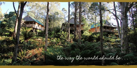 Lemonthyme Wilderness Retreat - Accommodation Cairns 20