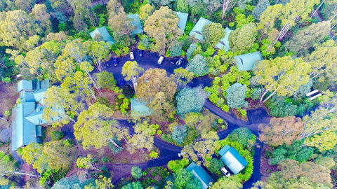 Lemonthyme Wilderness Retreat - Accommodation Cairns 1