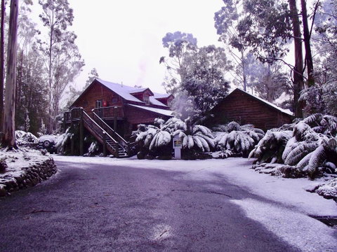 Lemonthyme Wilderness Retreat - Accommodation Cairns 12