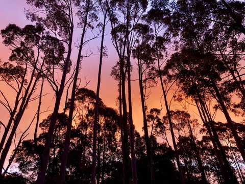 Lemonthyme Wilderness Retreat - Accommodation Cairns 8