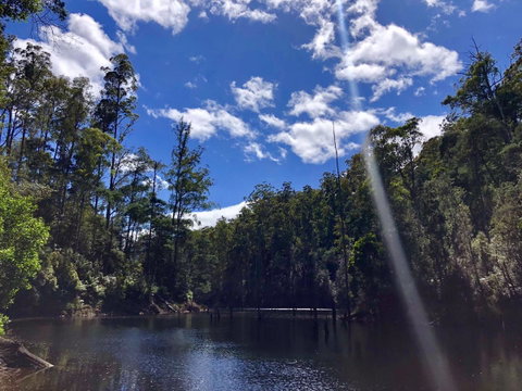 Lemonthyme Wilderness Retreat - Accommodation Cairns 7